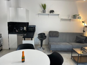 Modern Box Apartment Gdynia